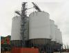 grain storage steel silo with hopper bottom for sales