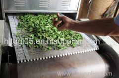 microwave herb drying equipment