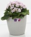 Grind arenaceous qualitative round self-watering pot , plastic flower pot,planters pot