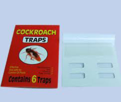 Cockroach Traps, roach trap, Cockroach Adhesive glue trap, Cockroach Adhesive glue paper, Cockroach Adhesive glue,