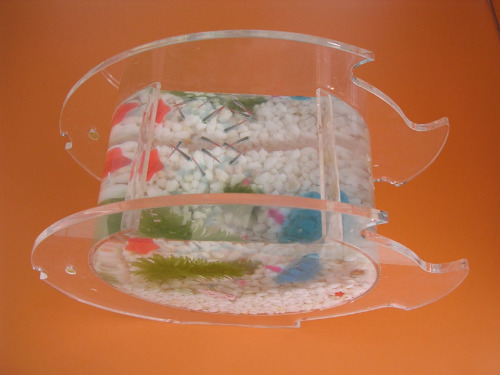 Acrylic Fish Tank Aquarium