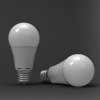 8W A19 LED standard bulb
