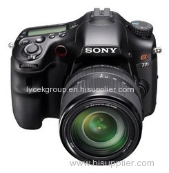 Wholesale Sony Alpha SLT-A77V 24MP Digital SLR Camera