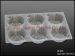 Frozen tray Disposable food tray seafood tray Shrimp ball tray