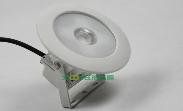 NEW arrival 10W Led Floodlight with Focus lens