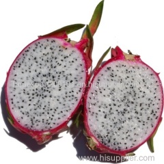 Dragon fruit from viet nam