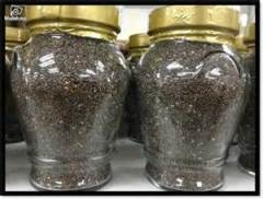 CHIA SEED FOR SELL