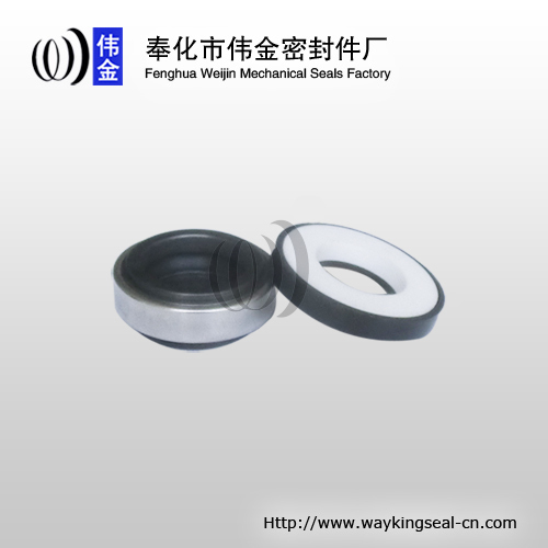 submersible pumps mechanical seal