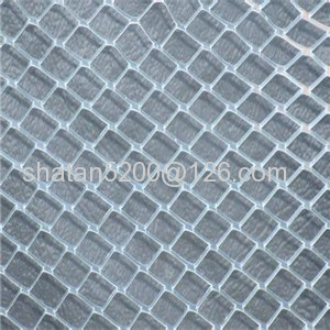 chain link fence/chain link netting/PVC coated chain link fence/Diamond wire mesh