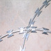 concertina wire for sale/anti-climb razor wire