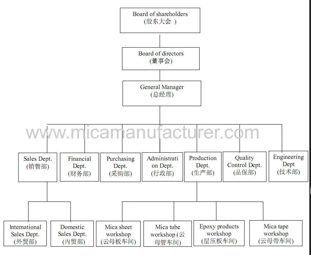 company orgnization chart