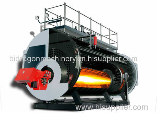 WNS gas fired hot water boiler