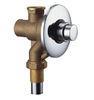 Brass Chrome Plated Toilet Flush Valves Brass Flusher for Home , Button Type
