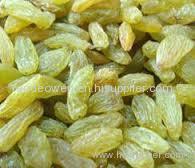 Best Quality Green Seedless Raisins