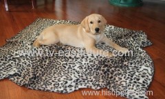 Comfort And Warm Pet Blanket