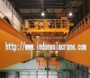 single girder and double girder wireless remote crane