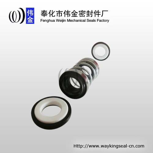 double mechanical seal for submersible pumps