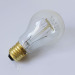 A19 Edison light bulbs