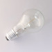 A19 antique light bulbs