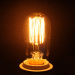 edison light bulb;edison light bulbs;25W Edison light bulb