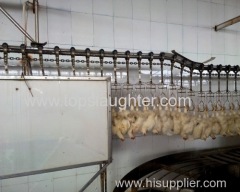 Poultry processing machinery Chicken Stunner