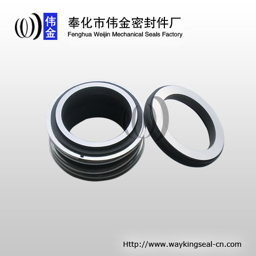 Burgmann MG1 mechanical seal for centrifugal pumps