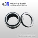 mechanical seal for agitators