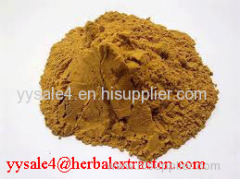 Reishi Mushroom Extract/ Standard herbal extract