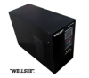 WELLSEE CE/ROHS 1000 watt pure sine wave ac inverter