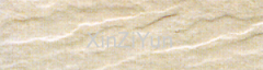 Glass fossil brick, Tile XZY6012