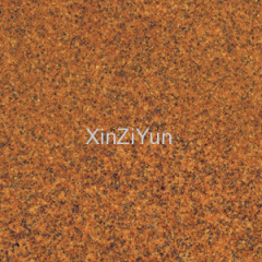 Glass fossil brick, Tile XZY6012