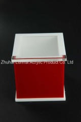 Acrylic Watch Box case