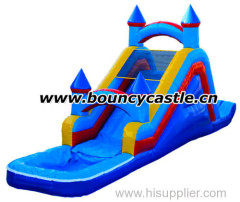 Cute Dolphin Inflatable Water Slide