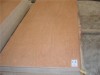 supply plywood and film faced plywood skype:ardiswei