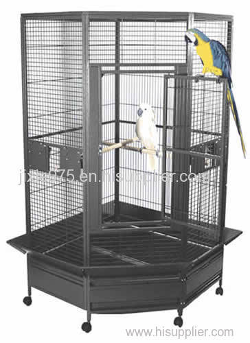 Large flight cage for amazon macaw