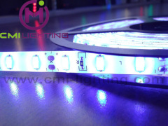 SMD 5630 LED Tape Strip Light 300pcs IP65