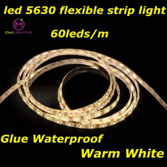 SMD 5630 LED Tape Strip Light 300pcs IP65