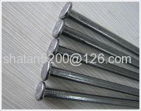 Cheap common wire nail