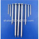 iron wire nails/common nail