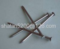 Cheap common wire nail