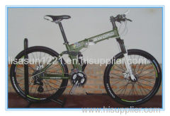 Hot Selling Foldable Aluminum Alloy Mountain Bike