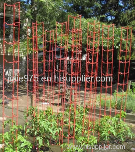 Heavy Duty Rigid Plastic Tomato Cages - Defense Against Squirrels