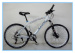 Popular 24 Speed Aluminum Alloy Mountain Bike