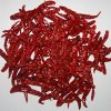 Byadgi Chilli, Red Chillies