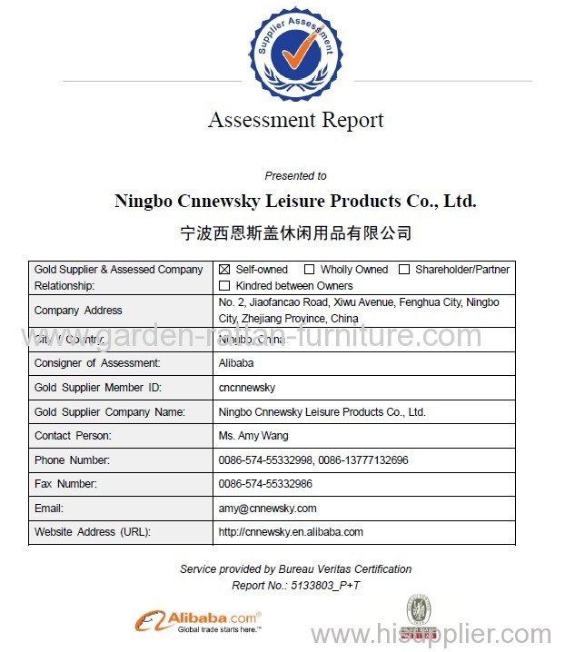 Assessment Report