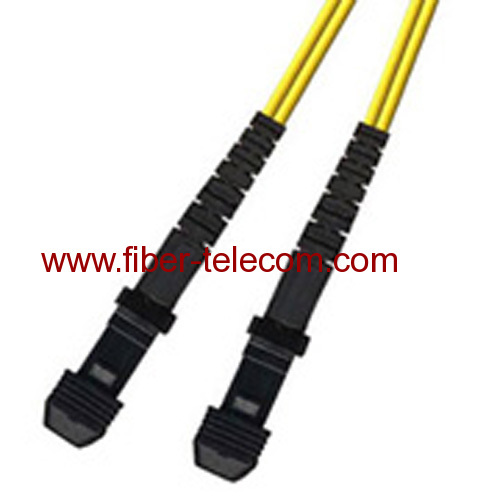 MTRJ-MTRJ Single Mode Duplex Fiber Optic Patch Cord