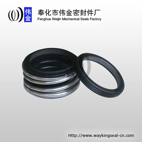 Burgmann mechanical seal MG1 for industrial pumps