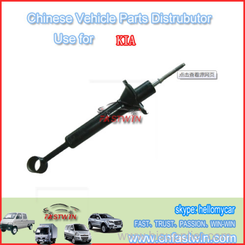 Auto Rear Shock Absorb for China Car
