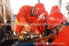 ANDLIZ Mechanical Seal Limited(ANDLIZ Mechanical Seal Factory)