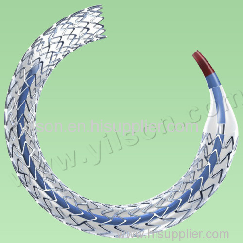 Drug eluting Stent System